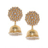 Rose Gold Plated Alloy Earrings