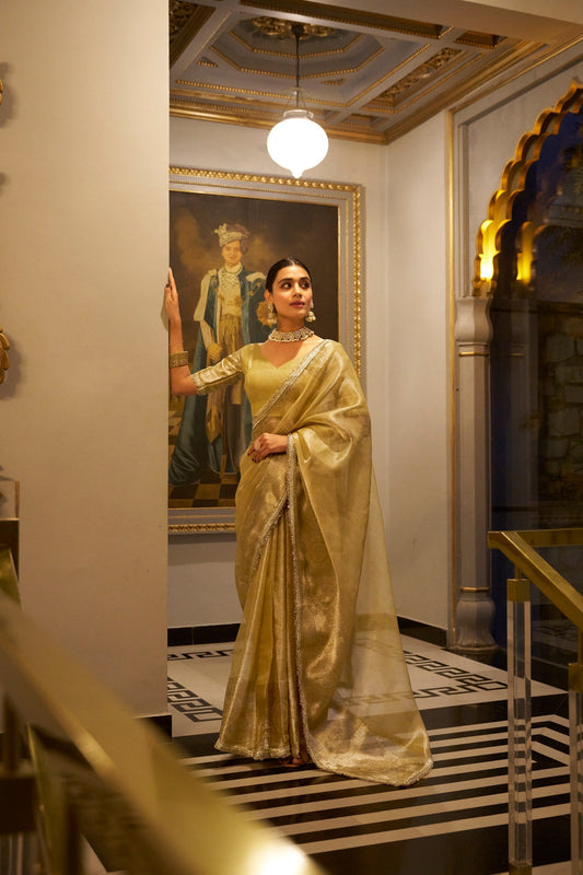 Model draped in Pastel Green tissue shimmer saree with zari weaving and sequins lace border – RANI SA Collection